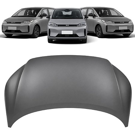 Capo Dianteiro Byd D1 2022 2023 DAEA840201077 Novo