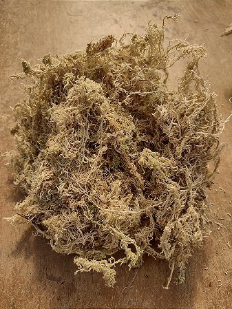 Sphagnum Musgo desidratado