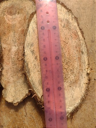 bolacha sansão campo 20cm para plantio orquideas, kit com 5 unidades.