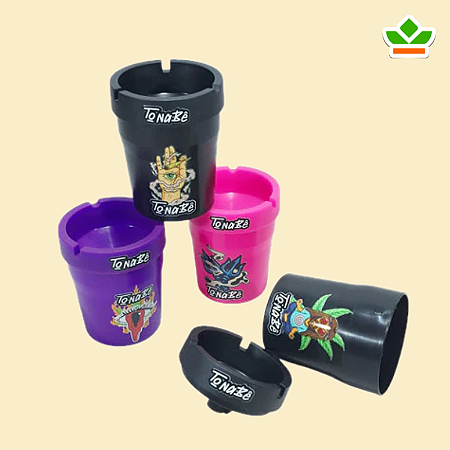 CINZEIRO TO NA BÊ CARRO CORES ESTAMPADO UND