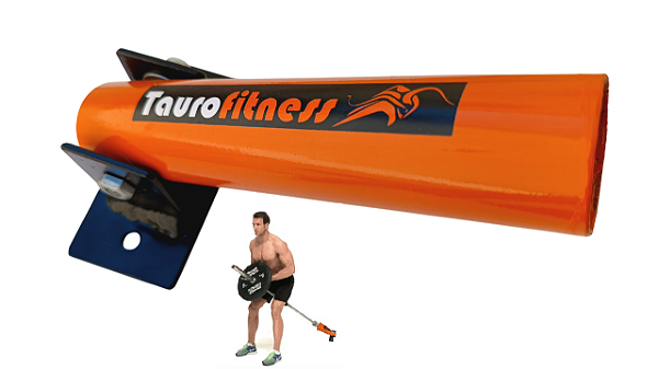 Base Fixa Remada Cavalinho Articulada Taurofitness