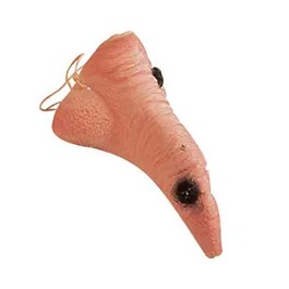 Nariz de Bruxa - Sulamericana Fantasias