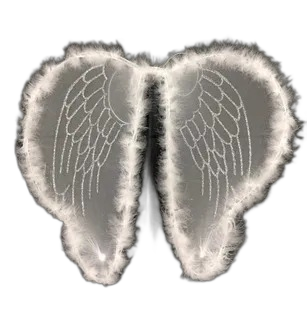 Asa Anjo Branca 60cm - Pica Pau