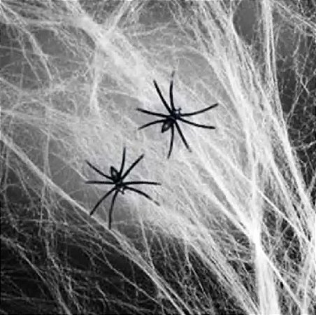 Teia de Aranha 20GR Branca - Partiu Festa
