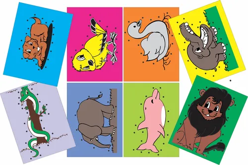 Alinhavos De Animais