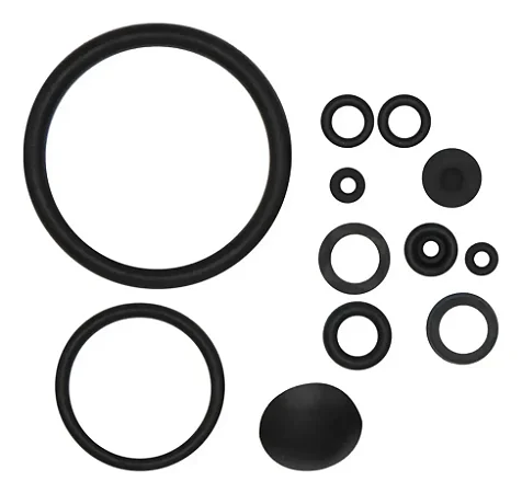 Kit Reparo Do Pulverizador Practical 5l - Brudden