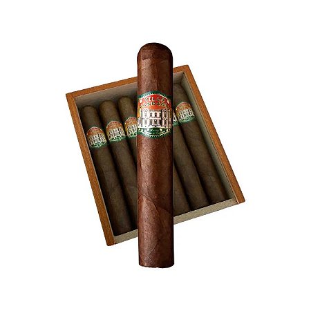 Villa Casdagli Robusto - Unidade