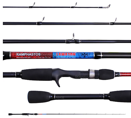 Vara para molinete Lamazon Ramphastos S561M 5'6" (1,68m) 17lbs Ação Media