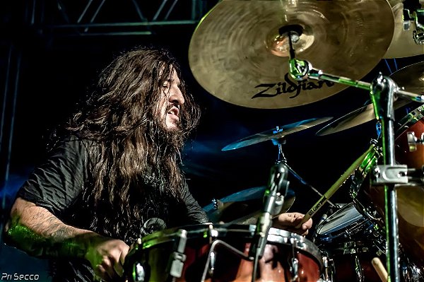 Baqueta Special Signature Max Kolesne