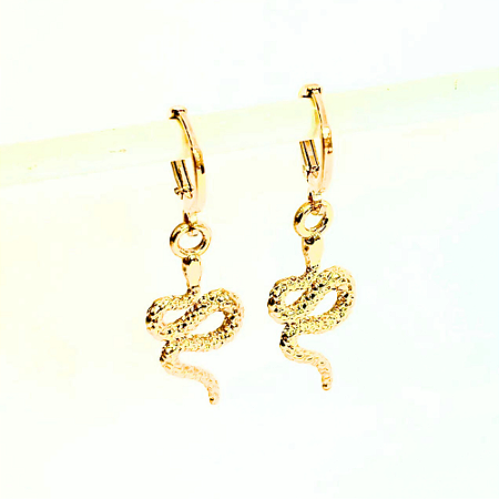 Brinco Argola Pequena Ping Cobra