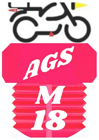 Bujão Rosa M18, Oleo Carter, Moto Carro Caminhão
