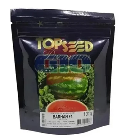 Sementes De Melancia Híbrida Barhan F1 200 unidades