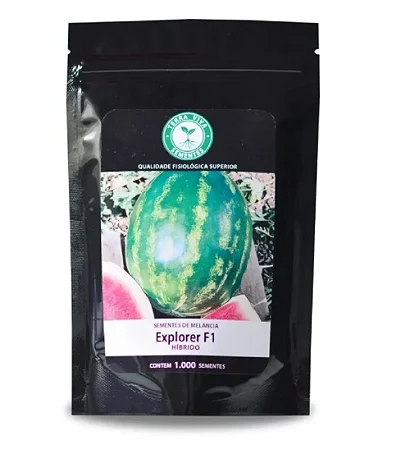 Sementes De Melancia Híbrida Explorer 100 unidades