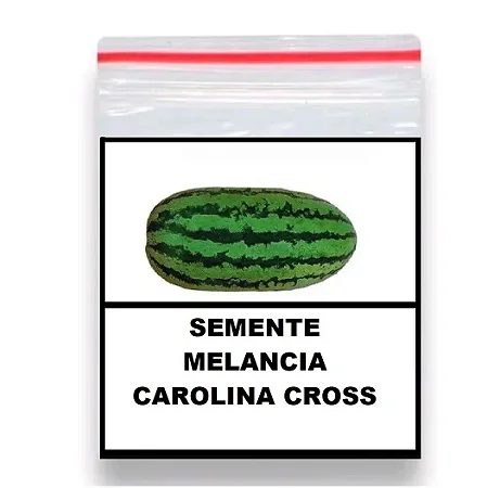 Sementes De Melancia Gigante Carolina Cross 100 unidades