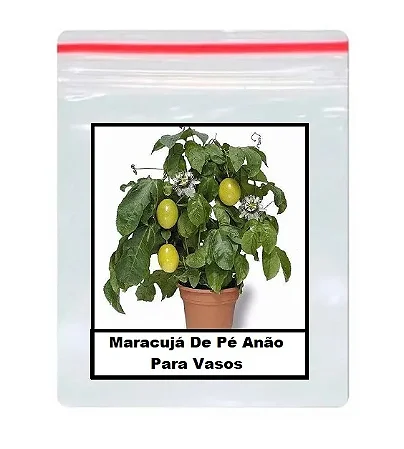 Sementes Maracujá De Pé Anão Para Vasos - 100 Unidades