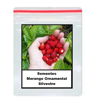 Sementes de Morango Ornamental - 50 Unidades