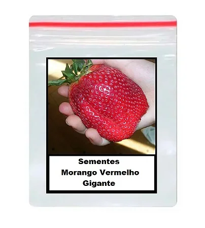 Sementes de Morango Gigante - 200 Unidades