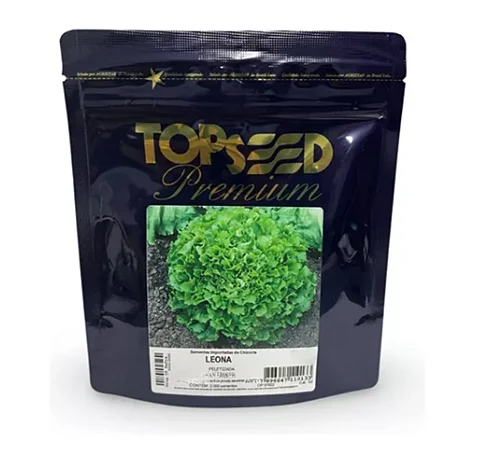 Sementes De Chicória Escarola Leona 2.000 Sementes Topseed