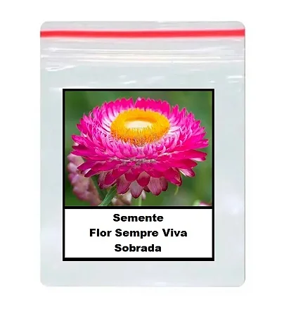 Sementes De Flor Sempre Viva Sobrada P/ Vasos E Jardins