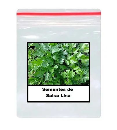 Sementes de Salsa Lisa 80 unidades