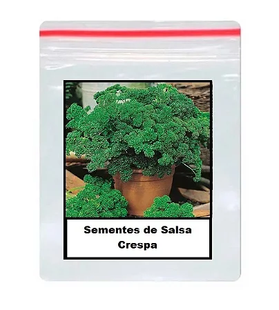 Sementes de Salsa Crespa 80 unidades