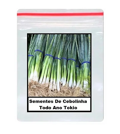 Sementes De Cebolinha Todo Ano Tokio 80 unidades