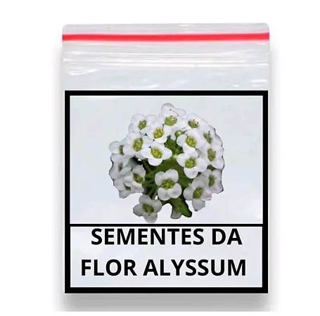 Sementes de Alyssum Odorante Tapete De Neve 70 unidades