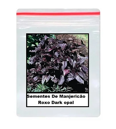 Sementes De Manjericão Roxo Dark opal 70 unidades