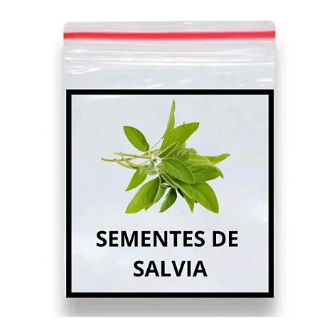 Sementes de Salvia officinalis 70 unidades
