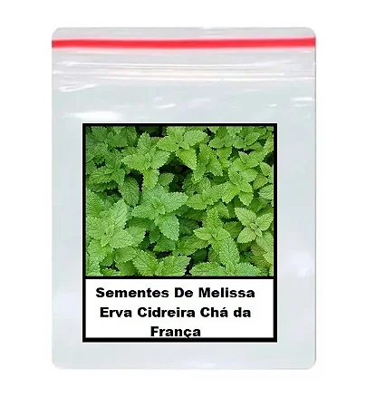 Sementes De Melissa Erva Cidreira Chá da França 70 unidades