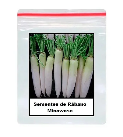 Sementes de Rábano Minowase 60 unidades