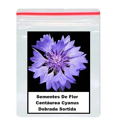 Sementes De Flor Centáurea Cyanus Dobrada Sortida 60 unidades