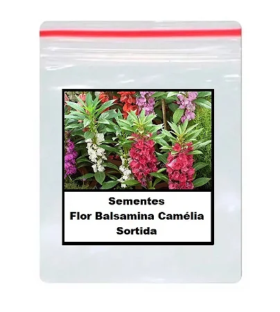 Sementes Da Flor Balsamina Camélia Sortida 60 unidades