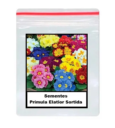 Sementes Prímula Elatior Sortida 50 unidades