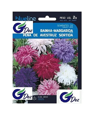 Sementes De Rainha Margarida Pena de avestruz Sortida 50 unidades