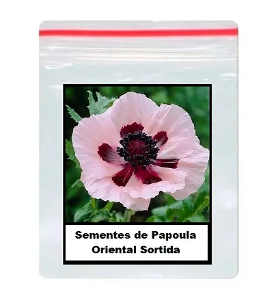 Sementes de Papoula Oriental Sortida 50 unidades