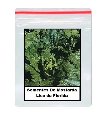 Sementes De Mostarda Lisa da Florida 50 unidades