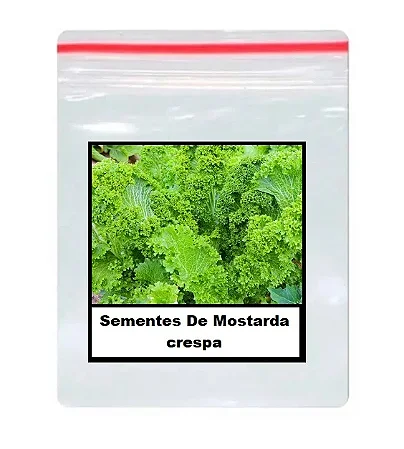 Sementes De Mostarda crespa 50 unidades