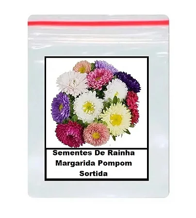 Sementes De Rainha Margarida Pompom Sortida 50 unidades