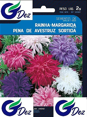 Sementes De Rainha Margarida Beauté D`amerique Sortida 50 unidades