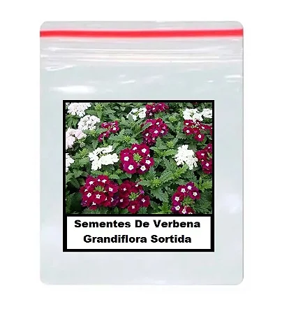 Sementes De Verbena Grandiflora Sortida 50 unidades