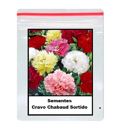 Sementes De Tagetes Anão Dobrado Sortido 50 unidades