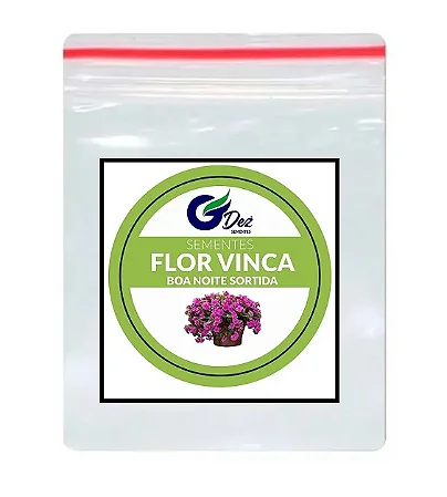 Sementes De Flor Vinca Boa Noite Sortida 50 unidades