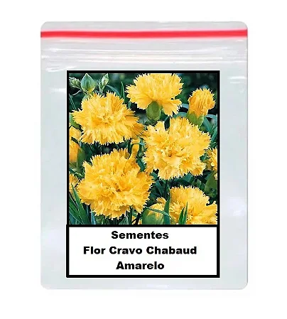 Sementes De Flor Cravo Chabaud Amarelo 50 unidades