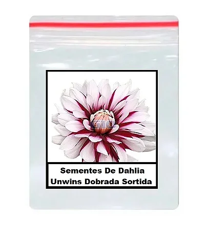 Sementes De Dahlia Unwins Dobrada Sortida 50 unidades