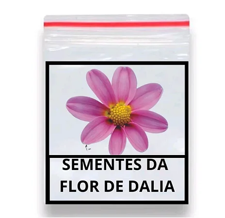 Sementes De Dahlia Coltness Sortida 50 unidades