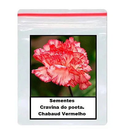 Sementes de Cravo / Craveiro / Cravina do poeta. Chabaud Vermelho 50 unidades