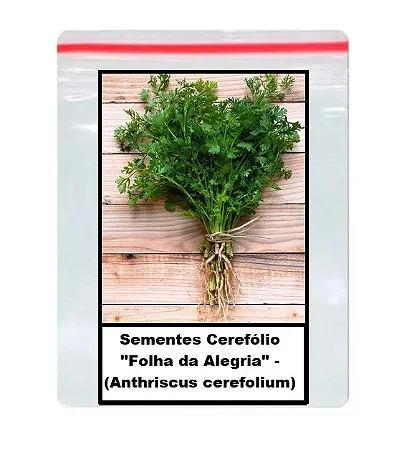 Cerefólio "Folha da Alegria" - (Anthriscus cerefolium) 400 unidades