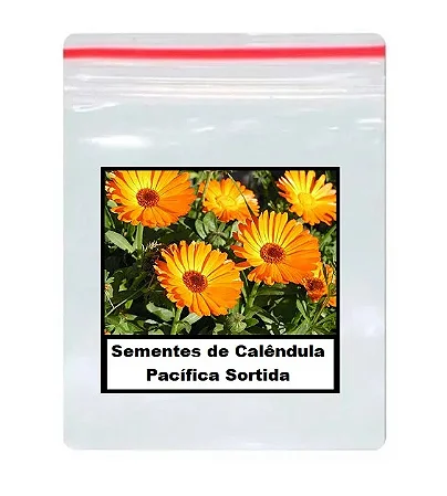 Sementes de Calêndula Pacífica Sortida 30 unidades
