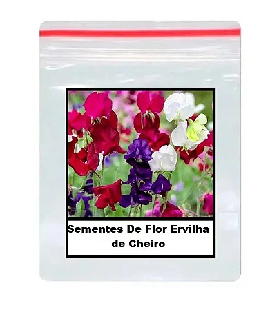 Sementes De Flor Ervilha de Cheiro 12 unidades